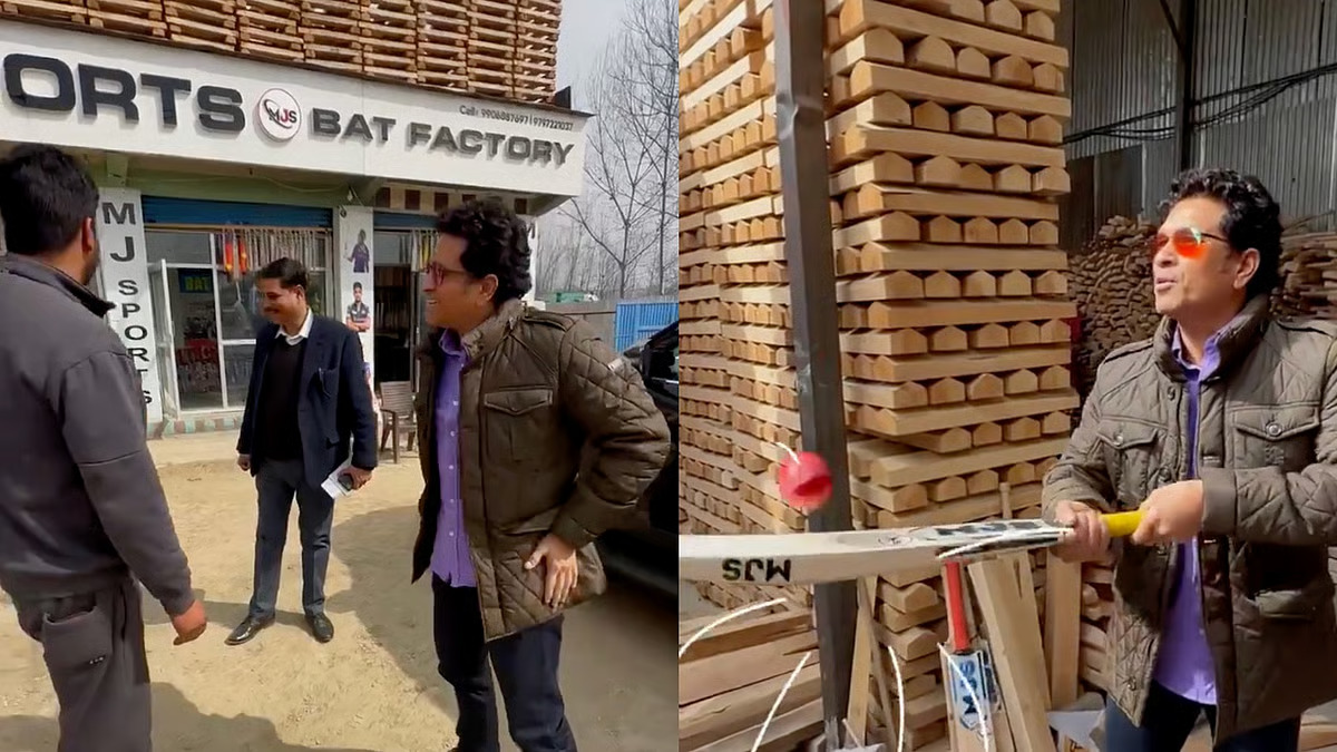 kashmiri willow bats